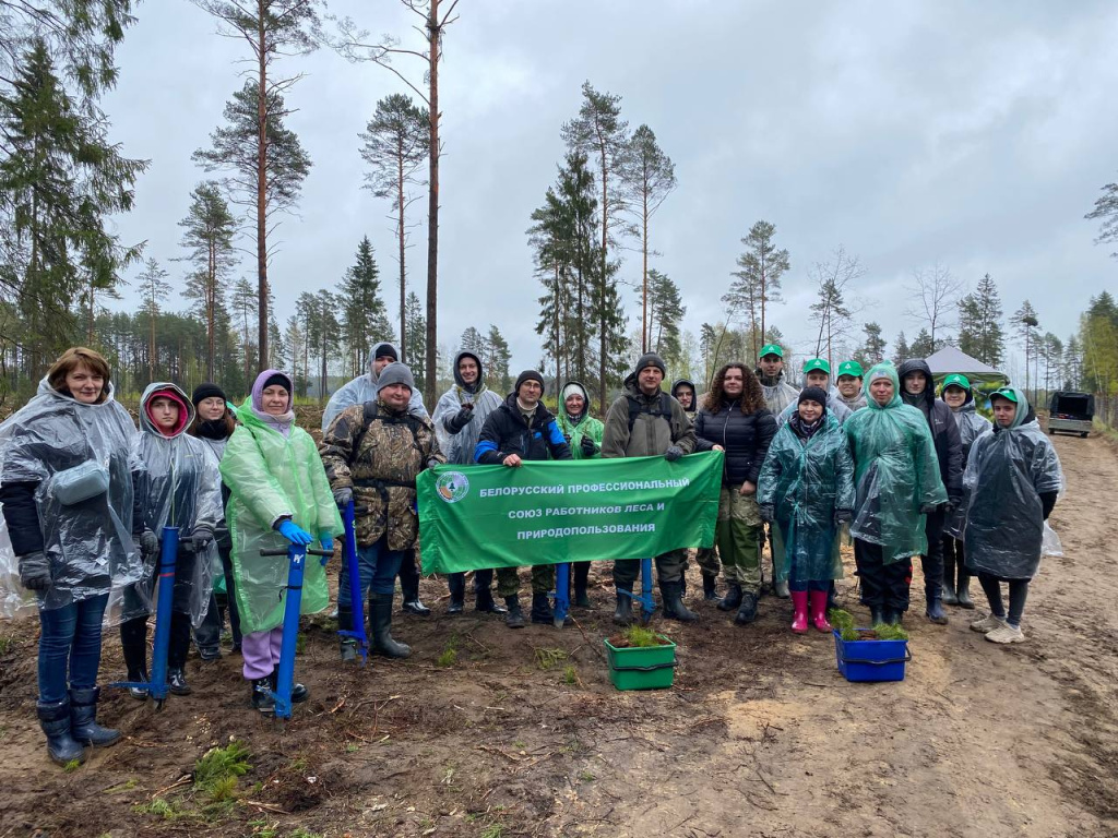 Создание памятных лесных культур.jpeg